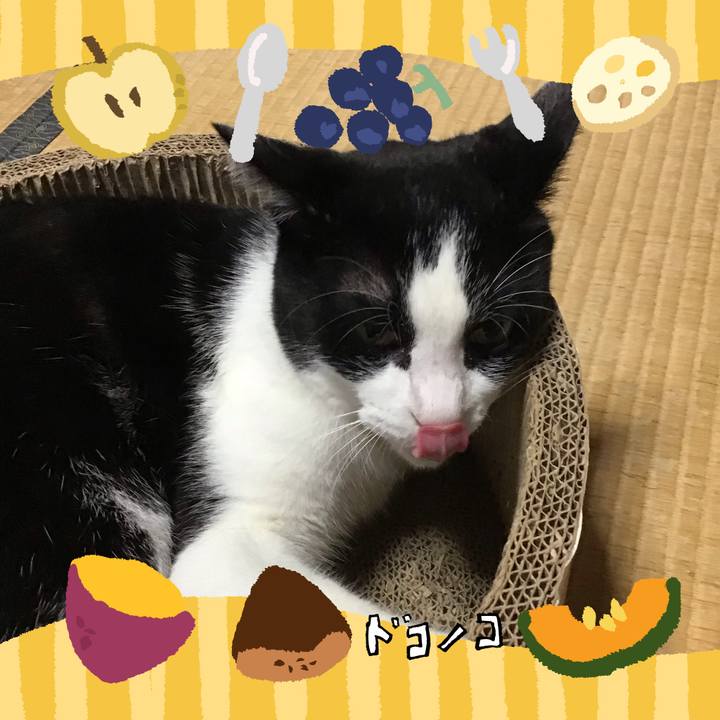 35220d1b eedf 4967 839c 645a977d0050 1726994044756