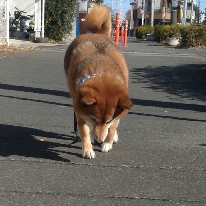 352221e5 ffca 4c63 b64e a7bb1553bbc8 1546837995771