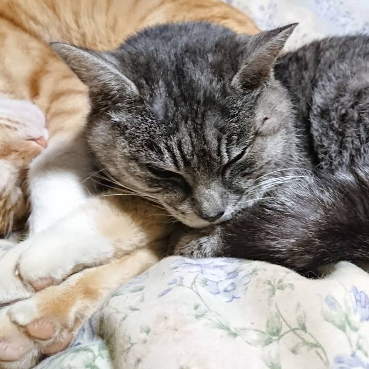 35222b0c 73b1 4624 87c0 07db0ce1f0cd 1579696011692