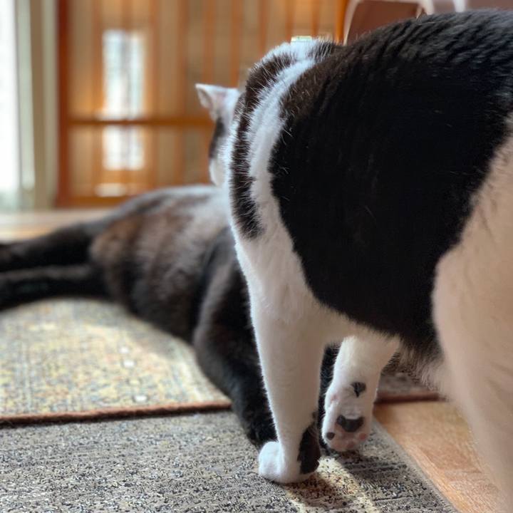 35223855 2d7f 40a1 b3c3 06de690030d6 1558313813356