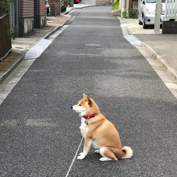 35225e68 df75 48fc b8b5 84e5e066e7ba 1557497214017