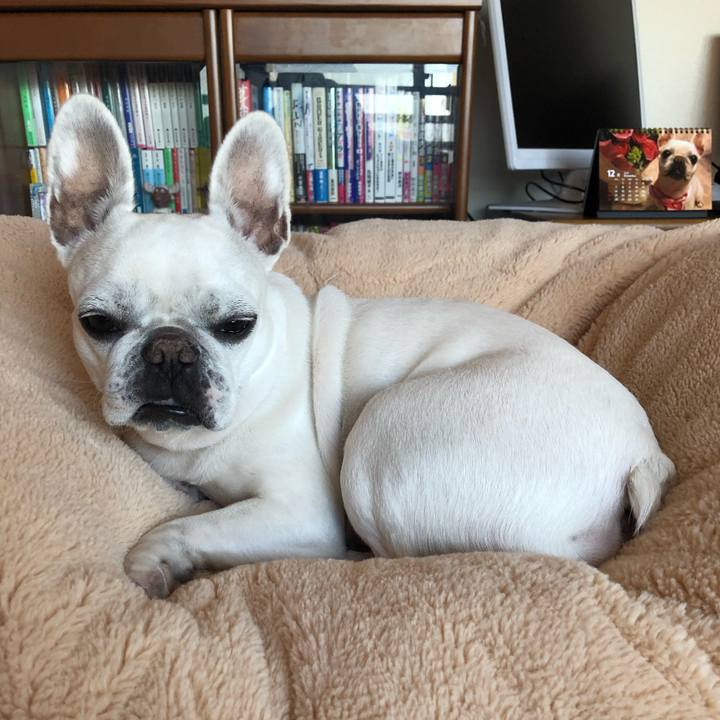 35226ee7 533b 4dd3 a546 f08e1024822e 1608438062222