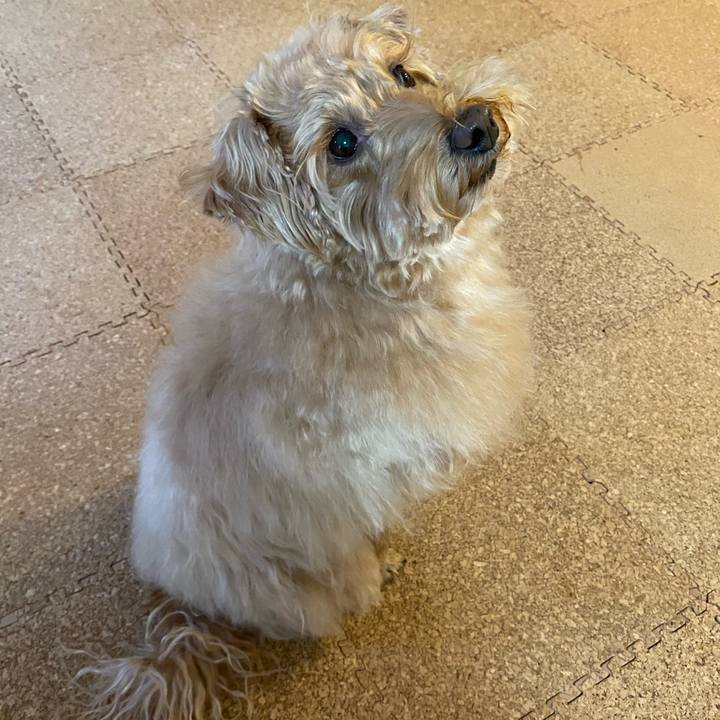 352287a1 3c9b 4b9e b796 18e76cde710e 1638692682400