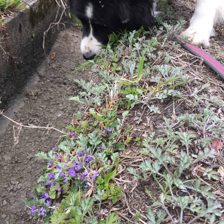 3522cc5f 54ed 414c b9c8 59a2ebaa5382 1584833540008