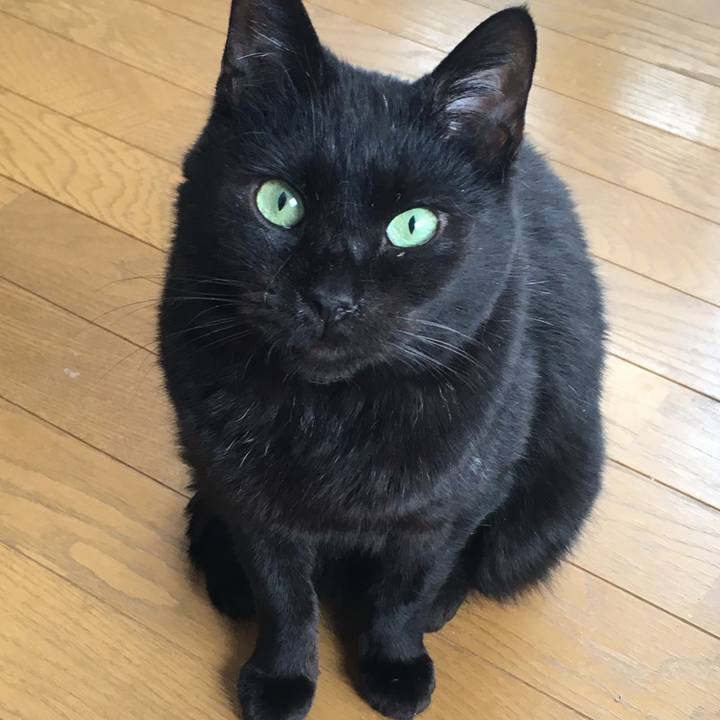 352346d2 0d9c 42e3 9cfb 22fd25cc2669 1544249129900