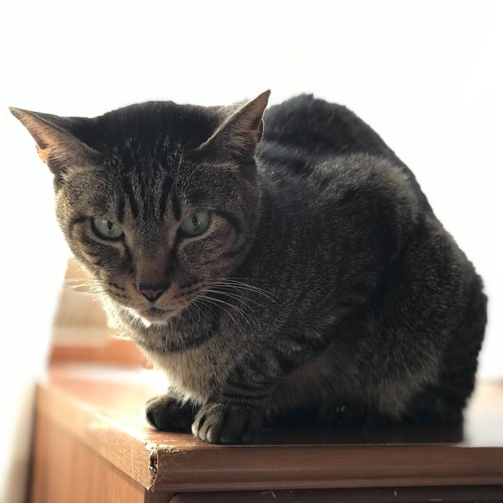 35236348 45f2 444c acc0 fdca0d8cb912 1518399879747