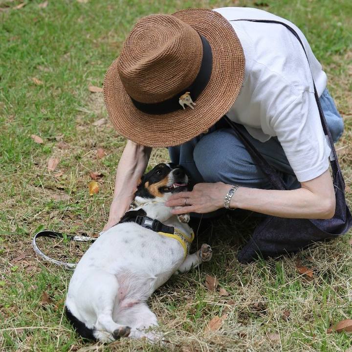 3523c6b9 6192 44fa 90b1 26cd6ff9702d 1717935751585