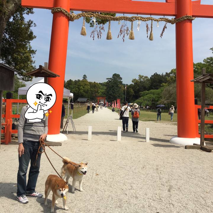 35240415 5c30 45eb b65f bfc0d29b7d59 1524360746503