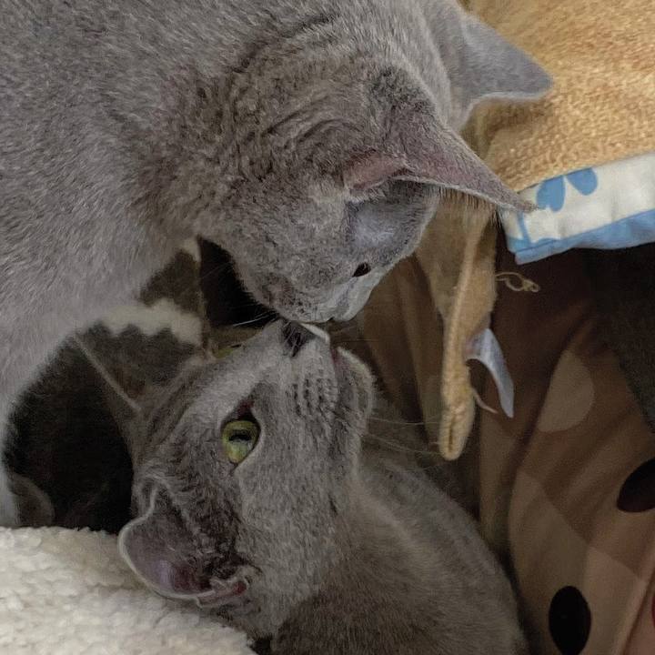 35241f4f 0c60 4c4c ab86 da951232f567 1606101558050