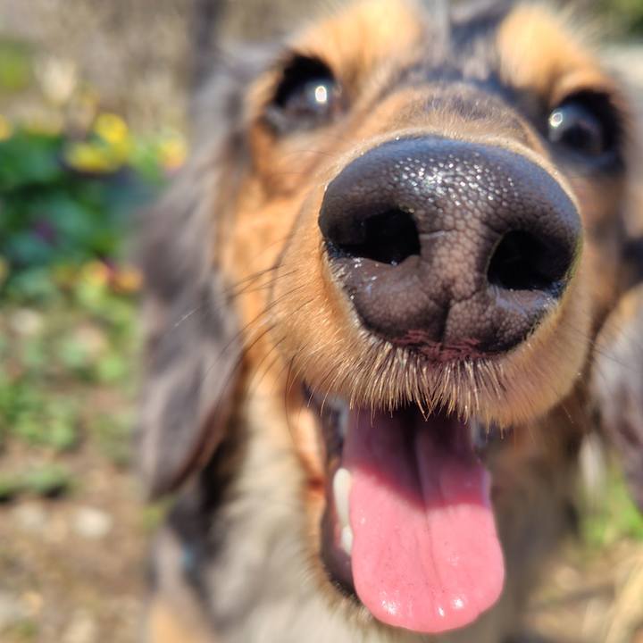 35242f87 552c 4fab bfc4 5b1c648183d6 1742727626485