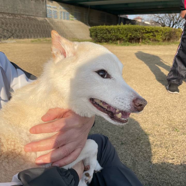 352439ea 62da 47db abd7 525ec013ffd8 1678184304683