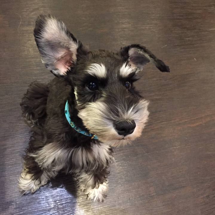 3524cc0c ea8d 47b0 9731 272099e3e0f3 1509868532927