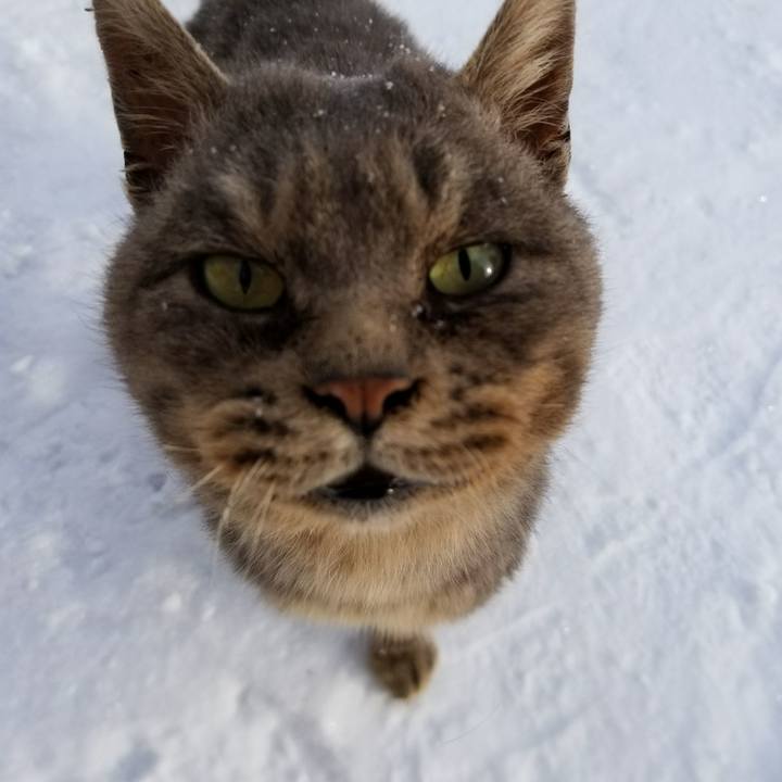 3524ccb0 19a7 4663 a1e5 cc809e0e2b16 1517873377288