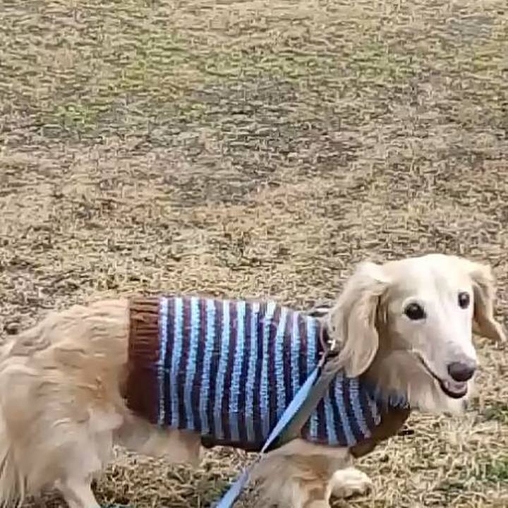 352504e6 ddc0 4d53 8524 7d9b2e8de09a 1545558131630