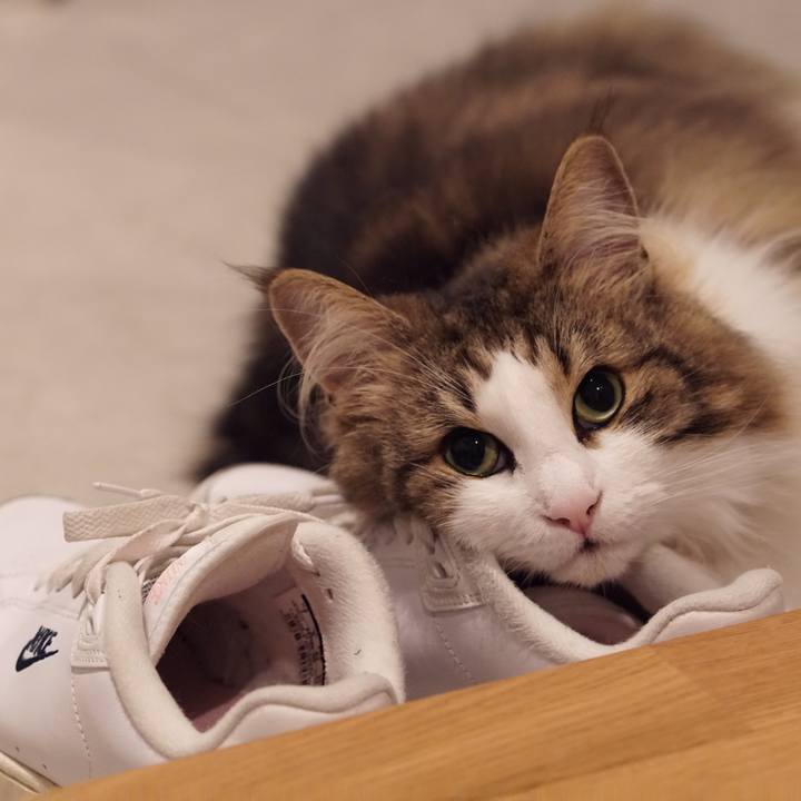 35252a14 cd0b 46b1 b3bd d010ace43ccb 1561036164795