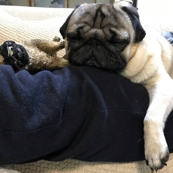 35255666 e804 44e7 b829 a26b03649139 1508932248117