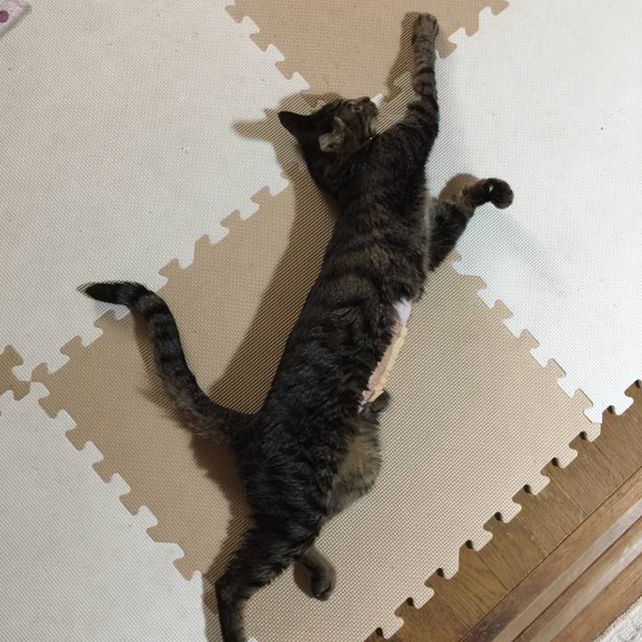 35255dd9 945b 4904 895f 00b4d40d4c7e 1578062958712