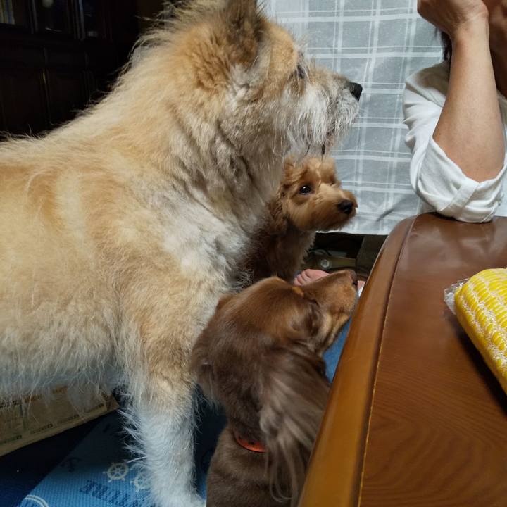 3525dfe6 c562 4226 88f4 26b87dc5906f 1561808701773