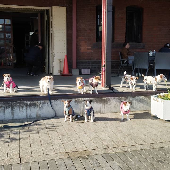 3525e104 2fd6 404c 8cf4 da2426a1e9d5 1774087939437