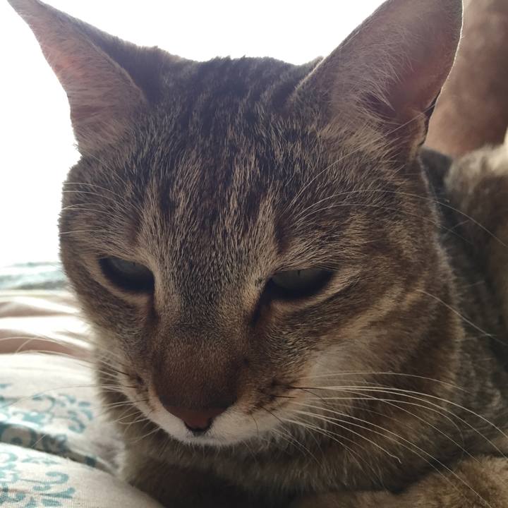 3525efd5 a485 41a9 b8b3 403f2ff1091c 1525588833805