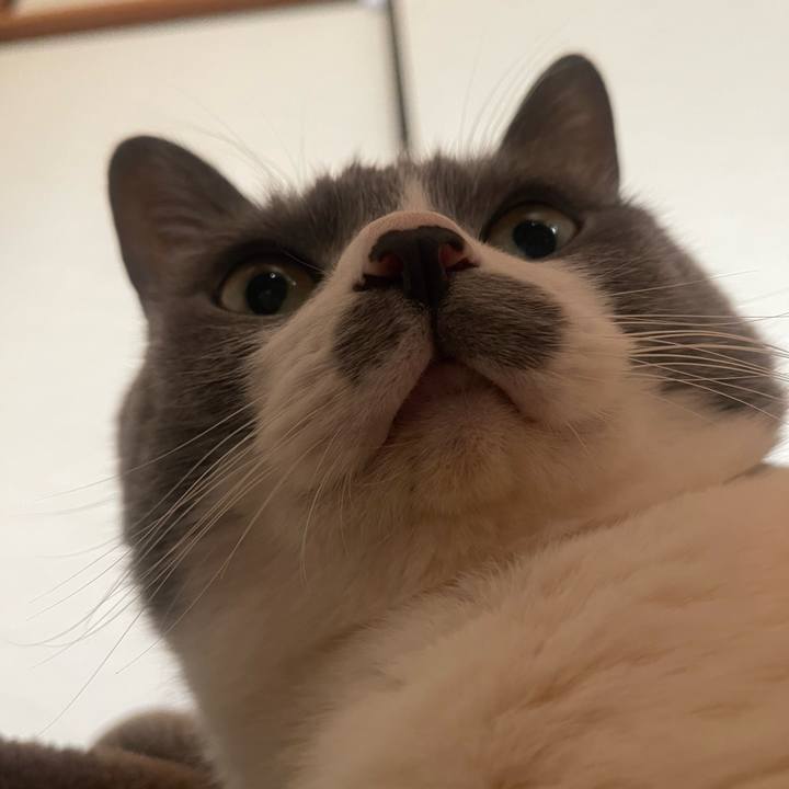 35260535 1826 42d1 886c c5f7805025d2 1738972039039