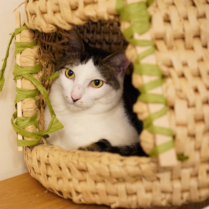 35264c6f a420 4a20 9ac9 3e083e8a9bb1 1572480059850