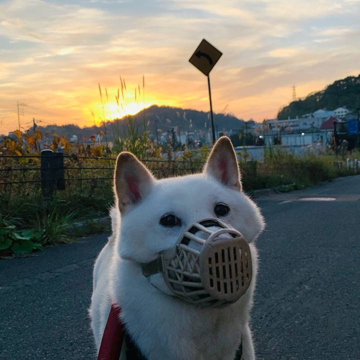 35267516 8f6d 470a bc11 fc926d33055c 1664572178885