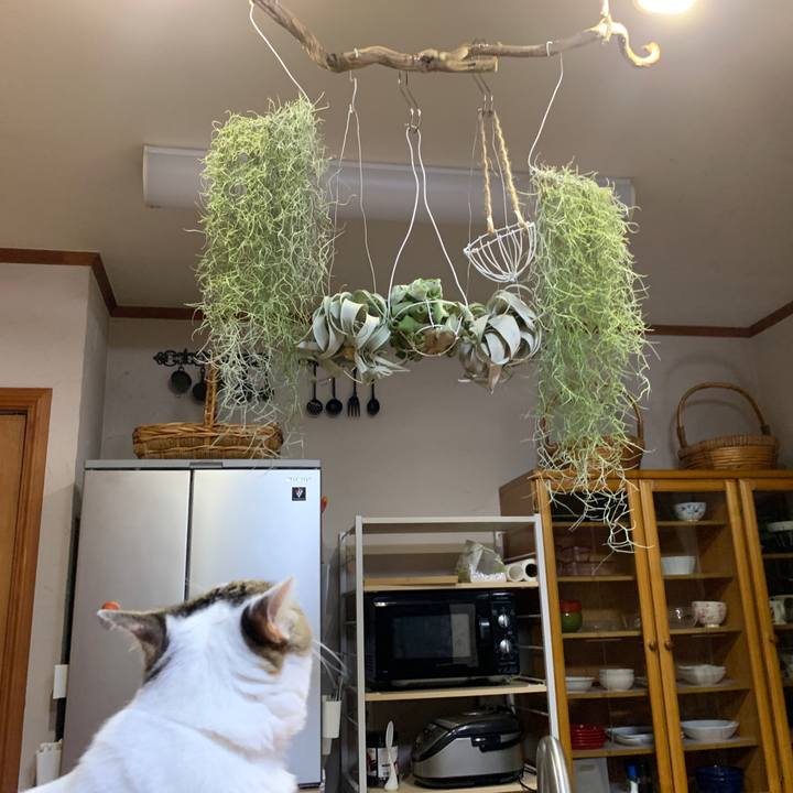 3526788d f31f 4ef1 b6a7 089d8a7b7977 1657458568172