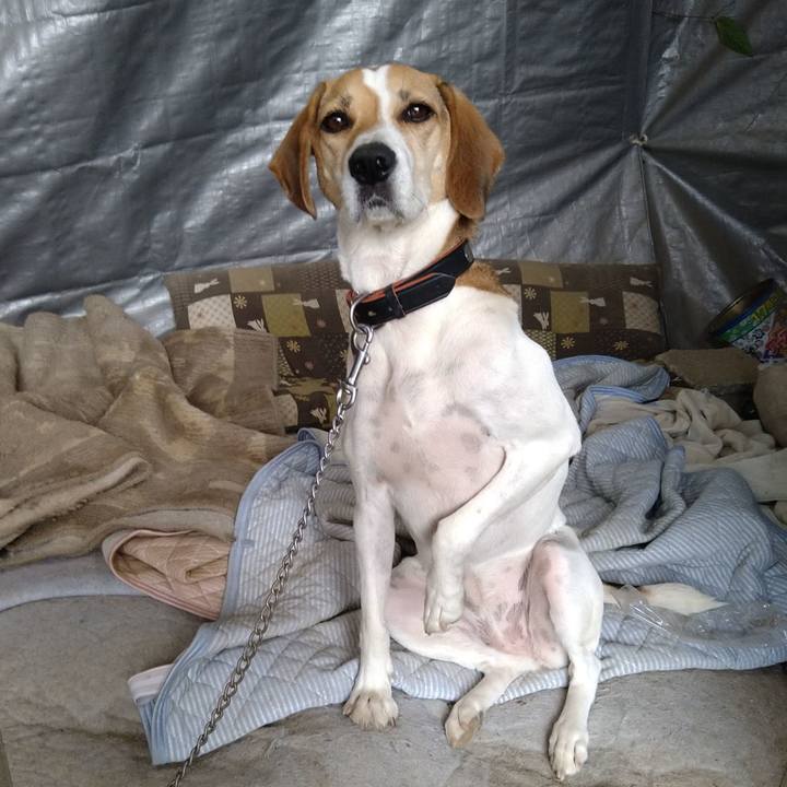 35267f30 7b11 4b02 a00e 2818b6151c65 1632899131232