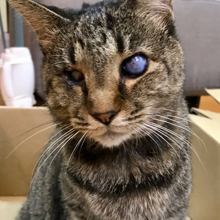 35267f72 b217 49ad be64 6df062f0a309 1595892206365