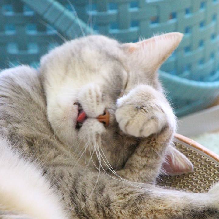 3526903d f3e8 49ba bcf3 0797c3d2cb74 1691551416574