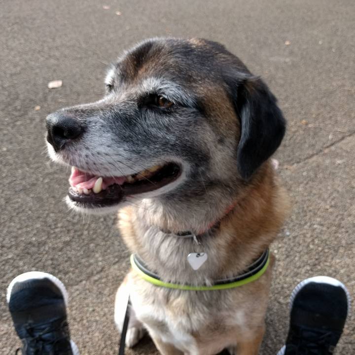 35269512 afc4 4432 8ea8 654d819220e4 1685149447924