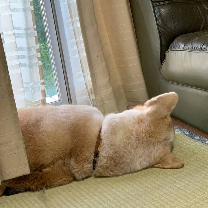 35269919 1d02 4500 8b29 5d94df6b6ec7 1626606927231