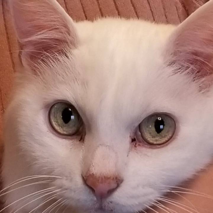 3526a9ce 2f26 4cb5 a877 42550e899f7f 1572733218179