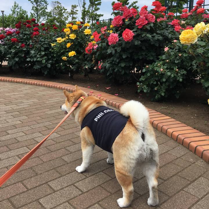 3526c34b b22a 4476 a9a2 69af9fd6088a 1557716667586