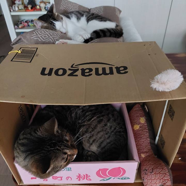 3526c358 f726 45bd b975 1f31b0a3b6a2 1658789480023