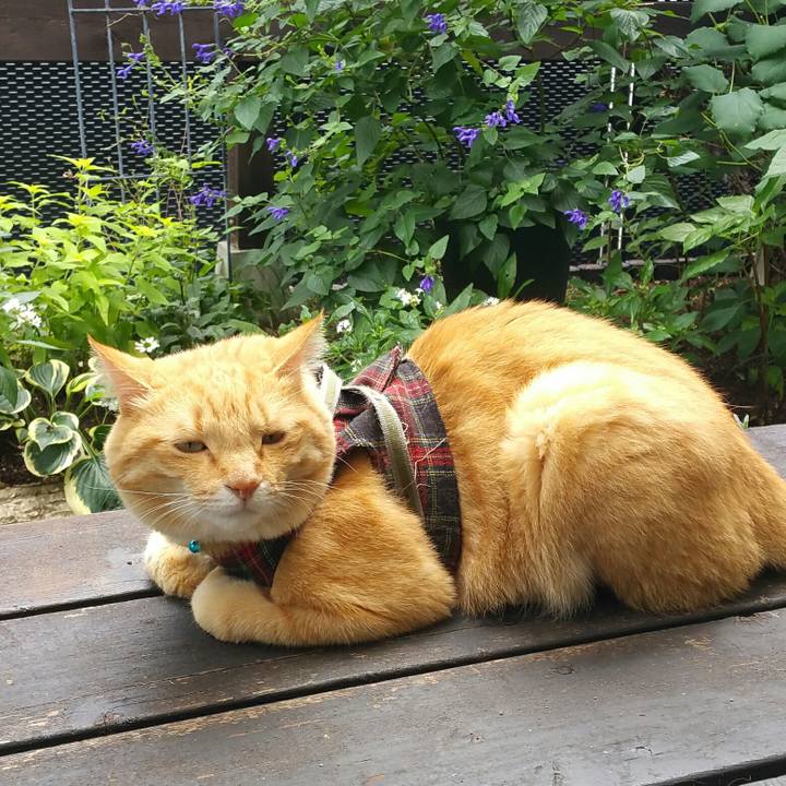 3526e345 4b85 4127 a67c e85734363d40 1569123290511