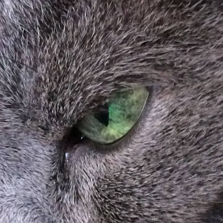 3526f568 95ab 4697 9b90 215149d4db50 1536189871746