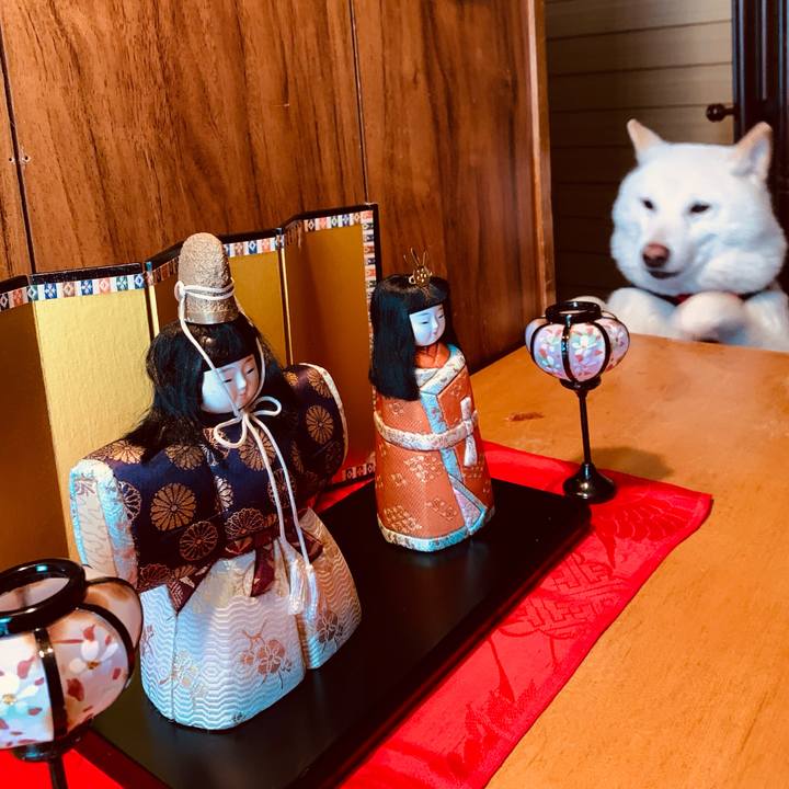 35270f55 6c81 43b5 9bd6 f97919440e67 1614558804426