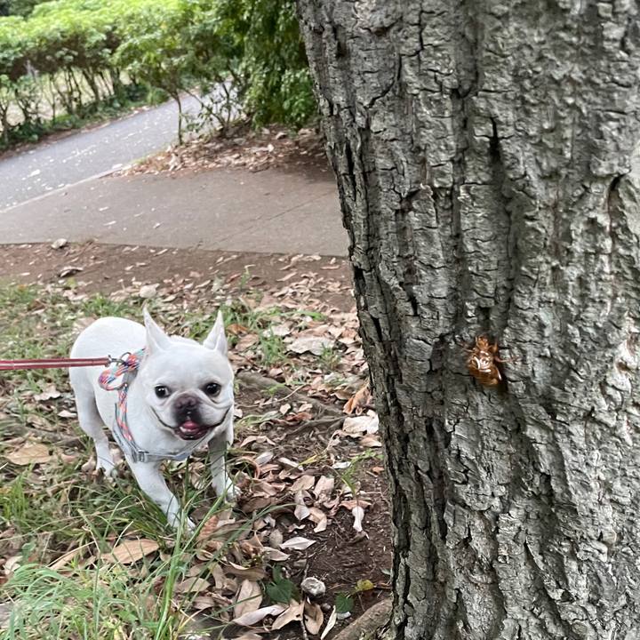 3527283d 11ee 42e3 89a2 27ef8bb257db 1756421590064