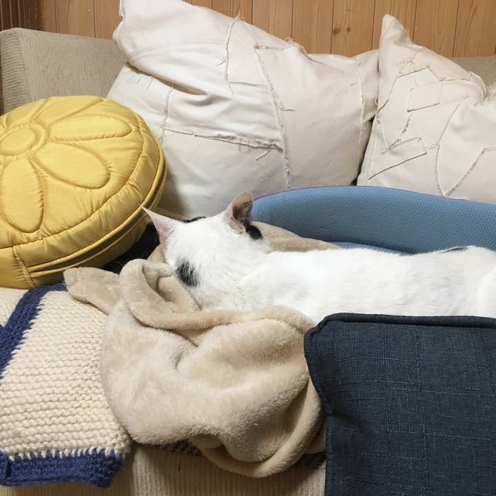 3527291e b0ff 433a 9405 746f868ad087 1527755312806