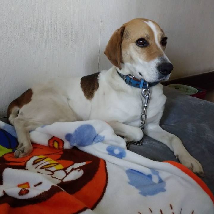 35273a03 a07d 44e1 8f36 c6a3ba3f6a2d 1613886839285