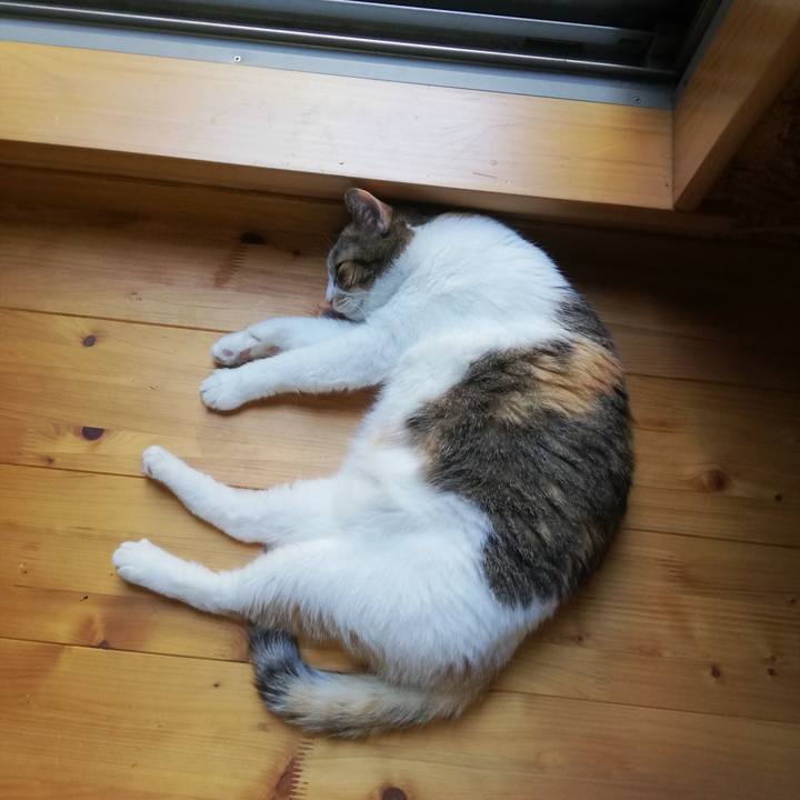 35273c10 2a38 413d a9ad e38cdbc46cb3 1660548127479