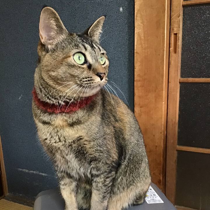 3527696a a550 4c4e a5cc 9cba003c2c47 1642203005144