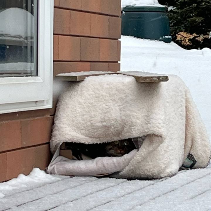 35278e1a c719 4e6c a0c4 9c881ca79526 1736589733661