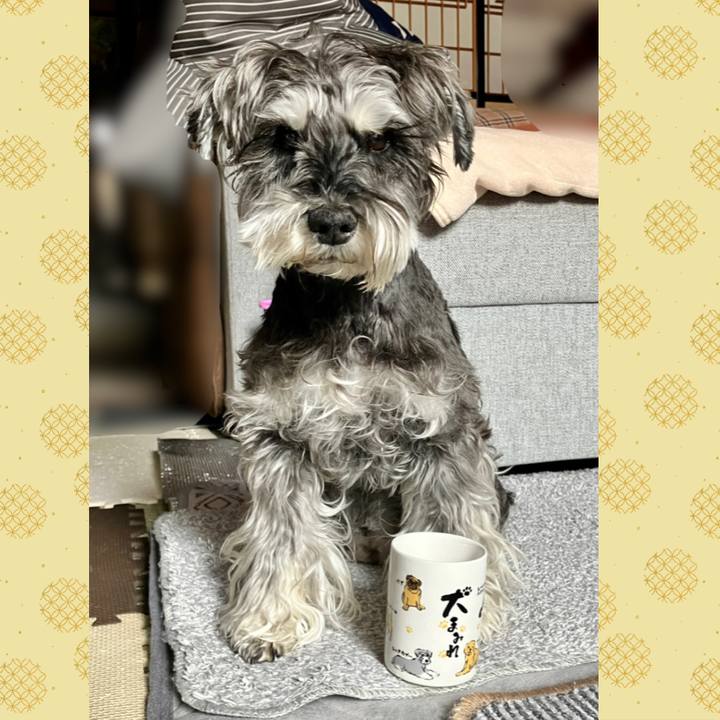 35279e36 0fa2 44af 9105 998171f3715e 1774145598533