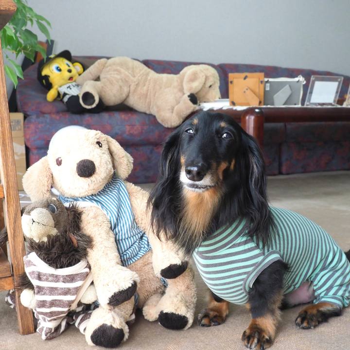 35279ea1 19fe 4f99 9fb6 19ab3ebac3b7 1694308993250