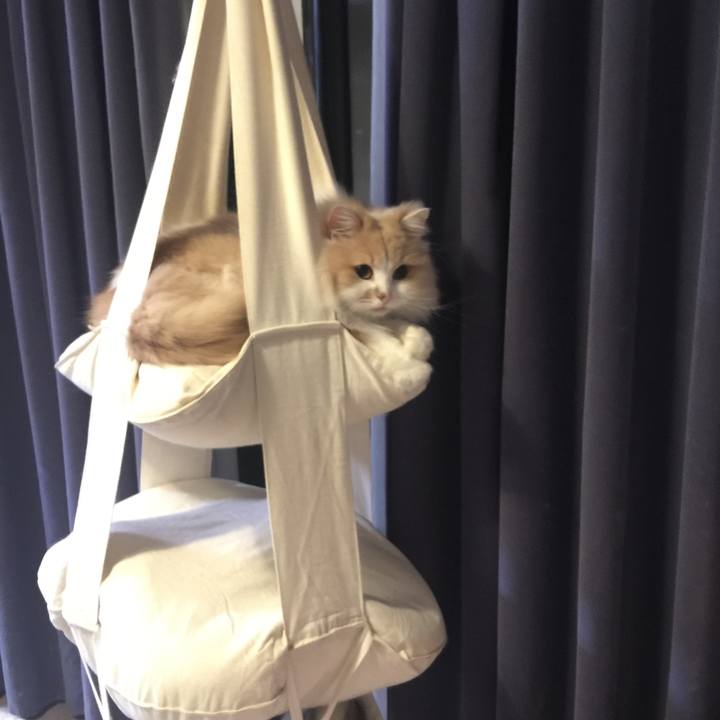 3527a24f 4672 41f7 a23b a7342ebf39cf 1525705428964