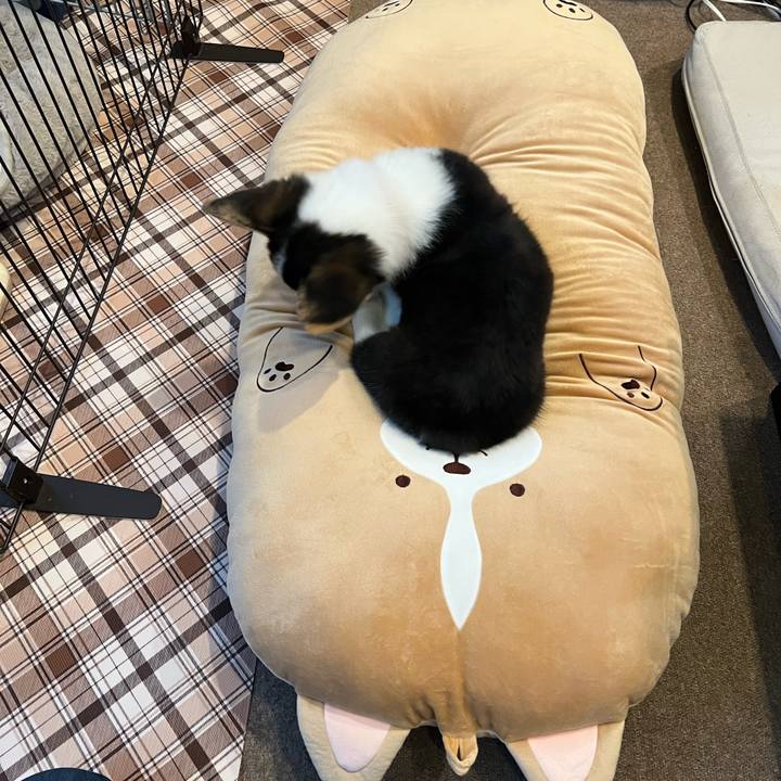 3527a8cd 7f0a 4f68 a15e 0fdab8da16cc 1769932632767