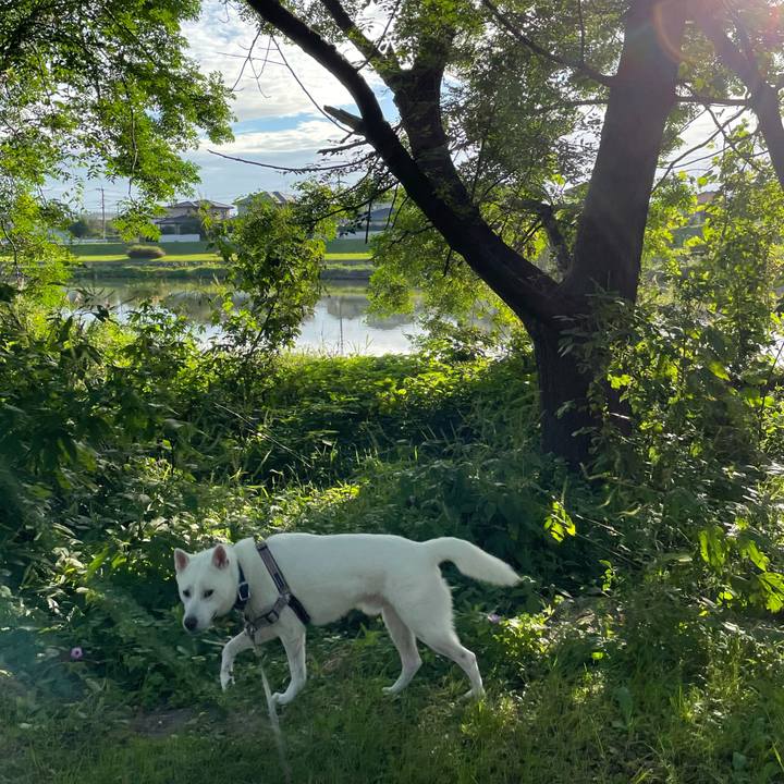 3527f29b 7284 420e a40c 32e0298cca3d 1632784129219